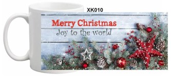 XKP010